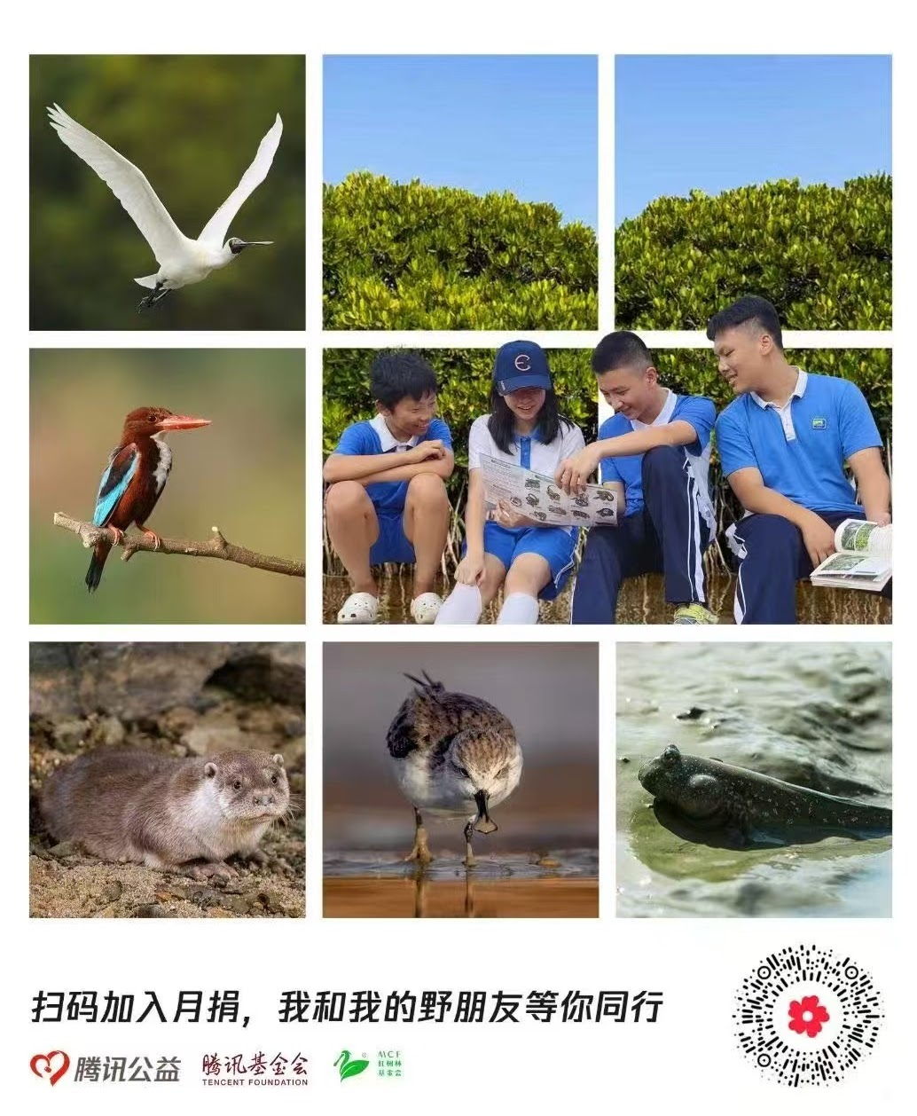 Fundraising poster for the monthly donation campaign