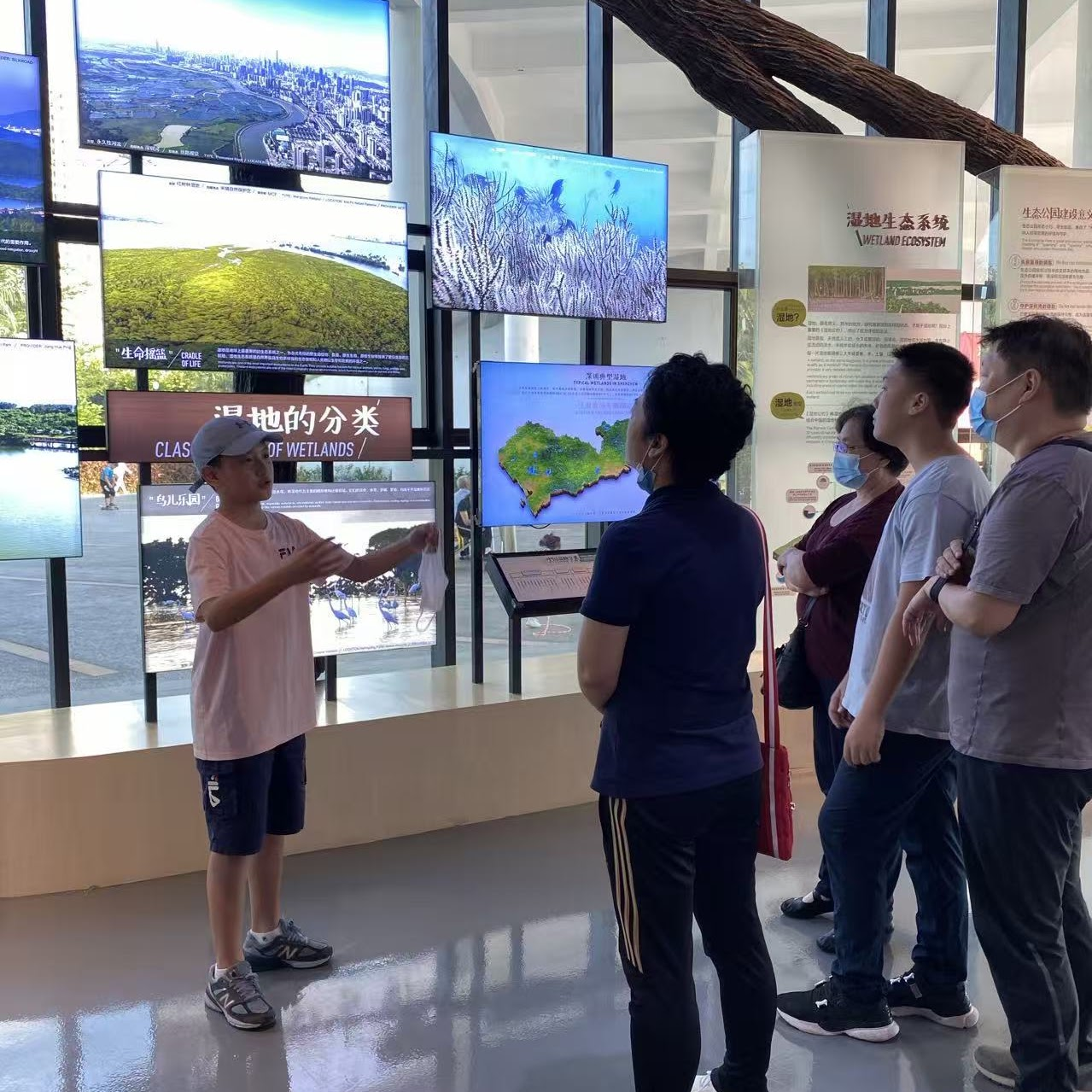 Guiding visitors through the wetland museum
